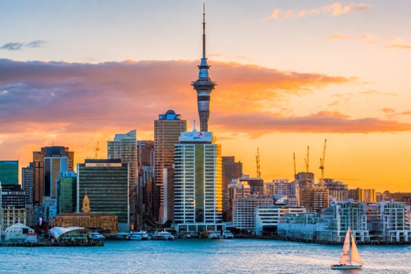 Where Business New Zealand: A Total Direct to Trade Openings, Economy, Businesses & Venture