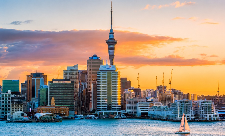 where business new zealand